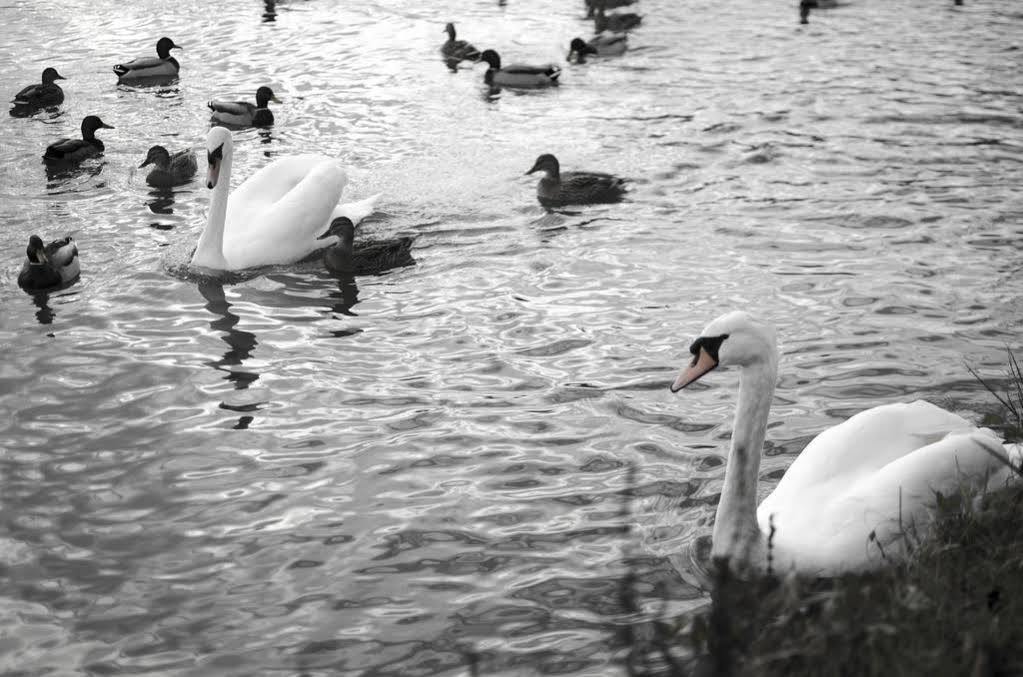 New Inn Hotel Lechlade Exteriér fotografie